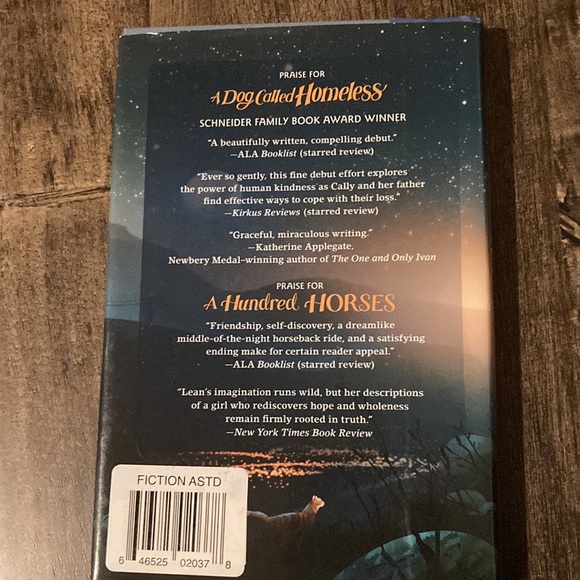 Hero by Sarah Lean - Picture 2 of 3